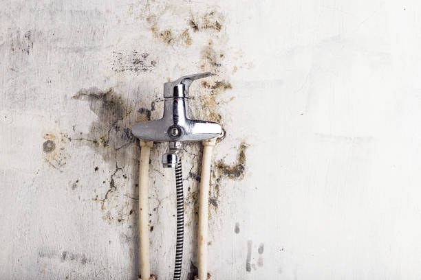 Best Home Mold Removal  in Valinda, CA
