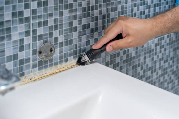 Best Same-Day Mold Removal  in Valinda, CA