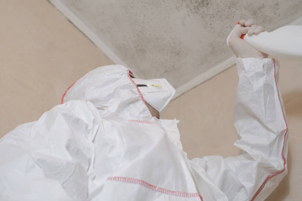 Best Mold Cleaning Services  in Valinda, CA