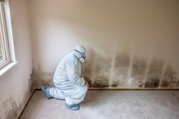 Best Mold Testing  in Valinda, CA